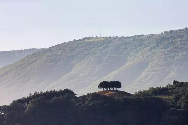 Nuovo B&b Colline San Benedetto