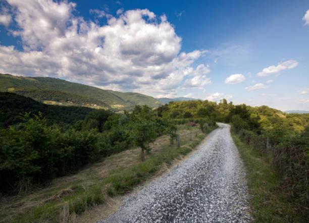 Nuovo B&b Colline San Benedetto