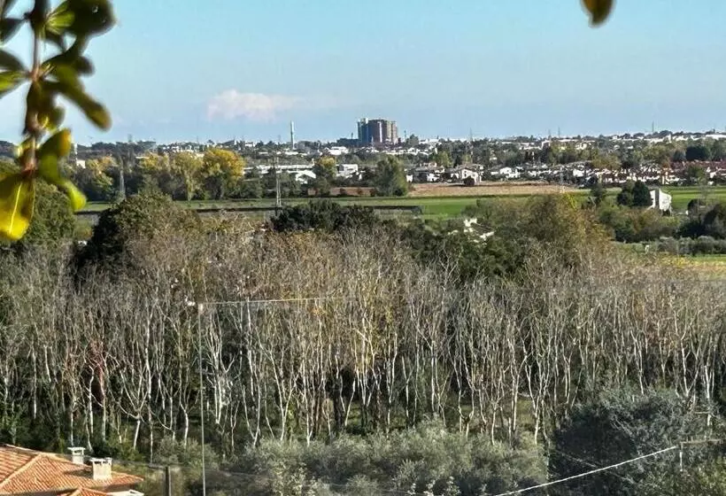 Nuovo B&b Colline San Benedetto