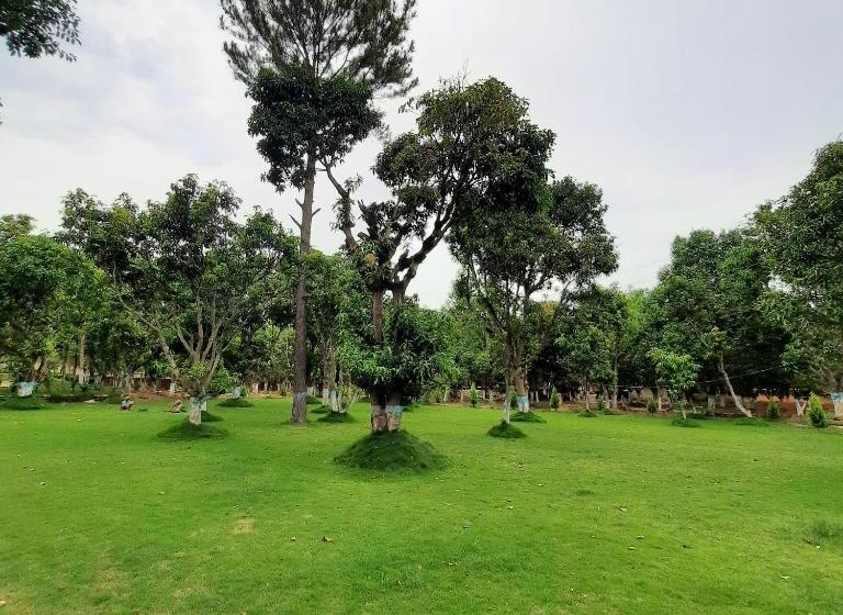 منتجع Bastar Greens Eco Stays