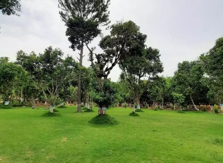 リゾートホテル Bastar Greens Eco Stays