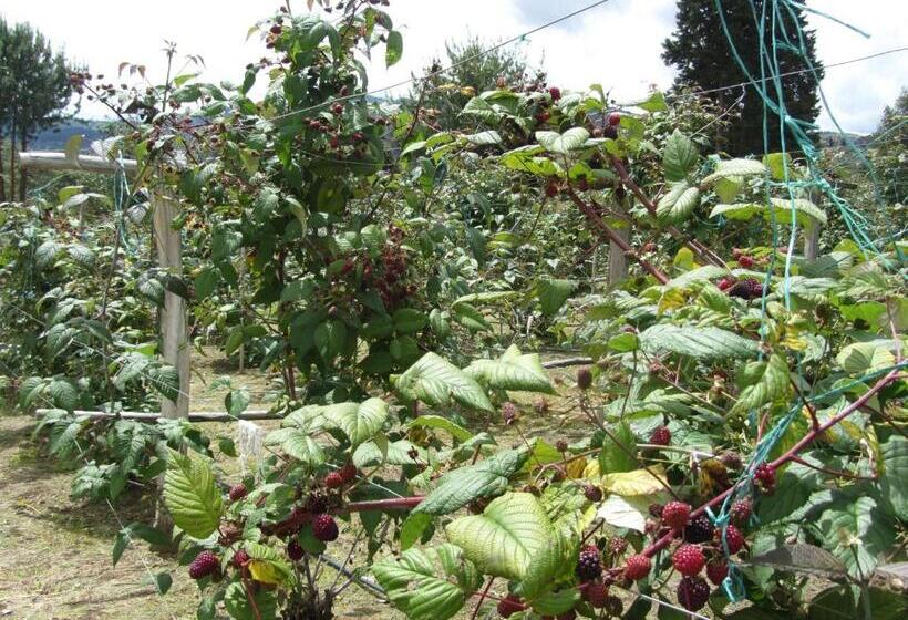 הוסטל Posada Rural, Colinas Y Senderos