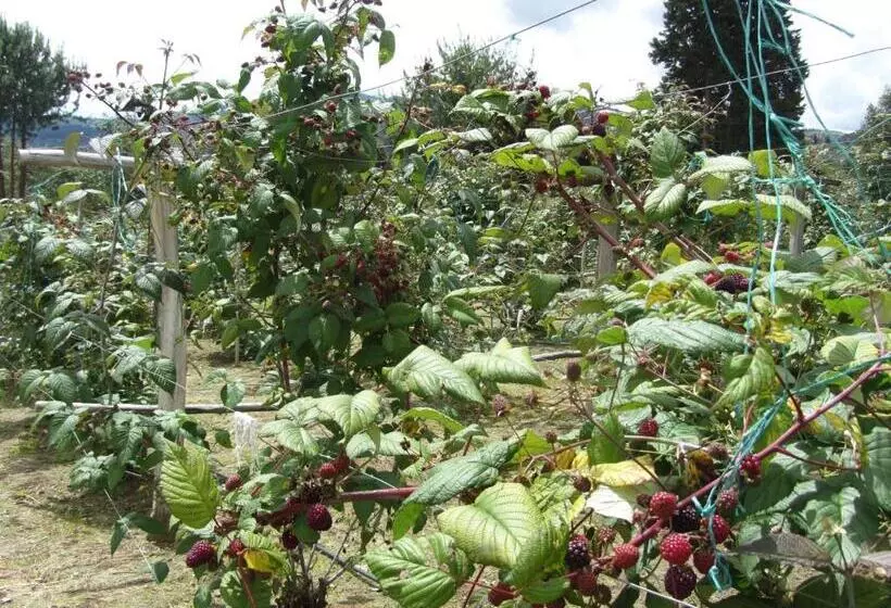 ユースホステル Posada Rural, Colinas Y Senderos