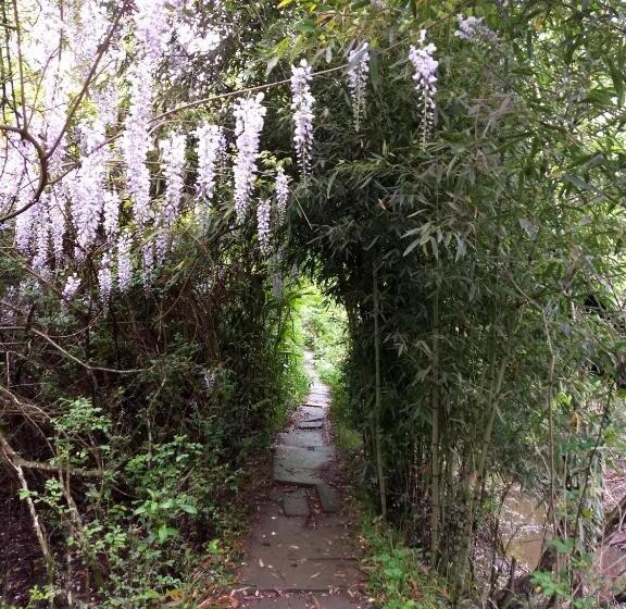 Bed & Breakfast Cabañas Le Parc En Delta De Tigre