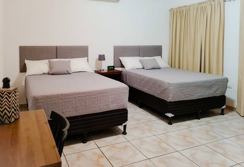 تختخواب و صبحانه Helechos Hotel Boutique