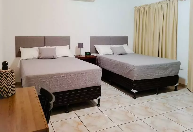 تختخواب و صبحانه Helechos Hotel Boutique