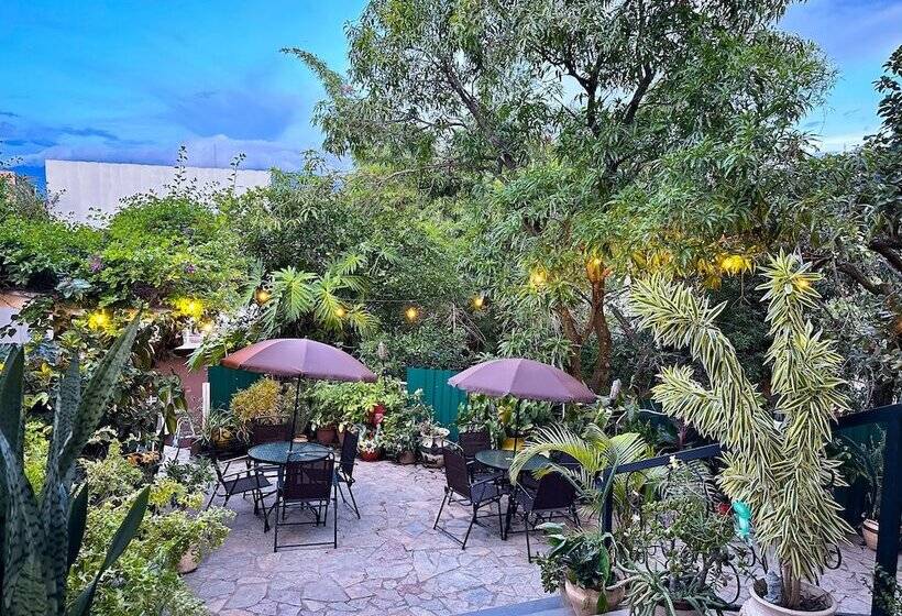 تختخواب و صبحانه Helechos Hotel Boutique