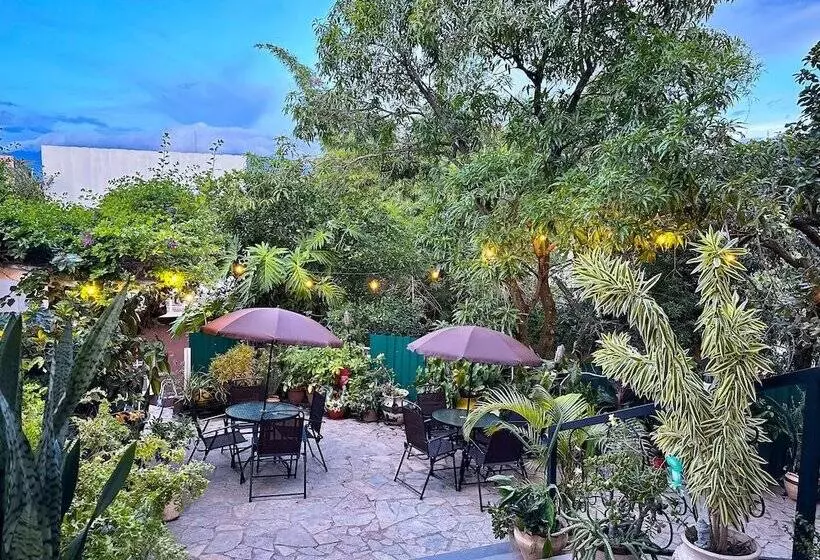 تختخواب و صبحانه Helechos Hotel Boutique