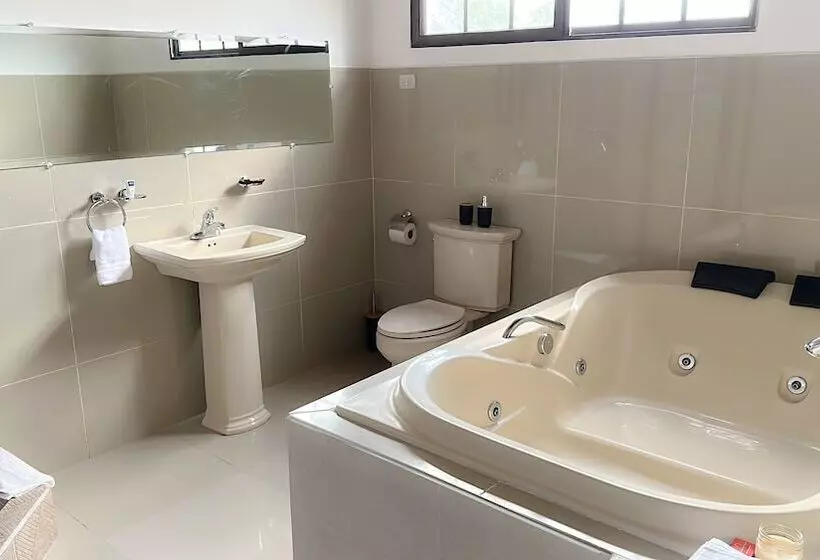 تختخواب و صبحانه Helechos Hotel Boutique