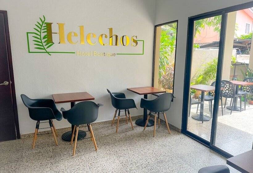 تختخواب و صبحانه Helechos Hotel Boutique