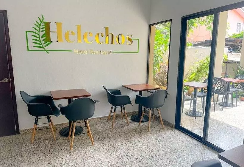 تختخواب و صبحانه Helechos Hotel Boutique