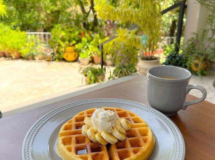 تختخواب و صبحانه Helechos Hotel Boutique