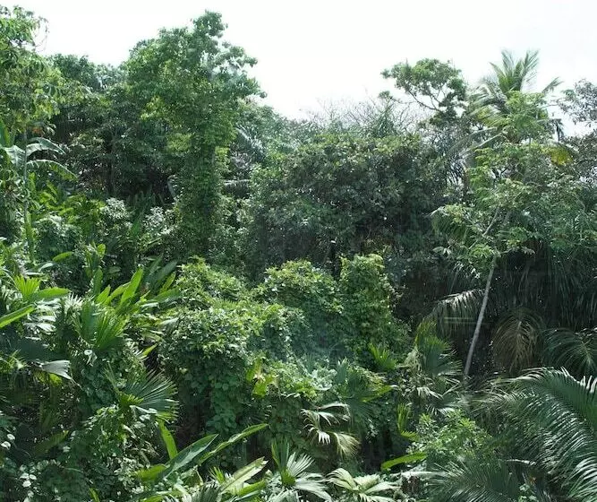 ホテル Ciel Y Miel