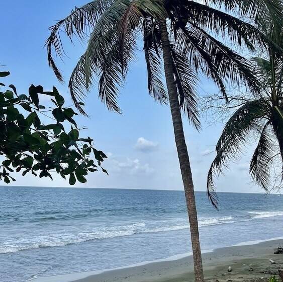 Hotel Las Rocas Village Eco