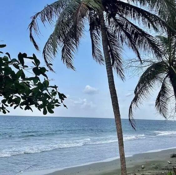 ホテル Las Rocas Village Eco