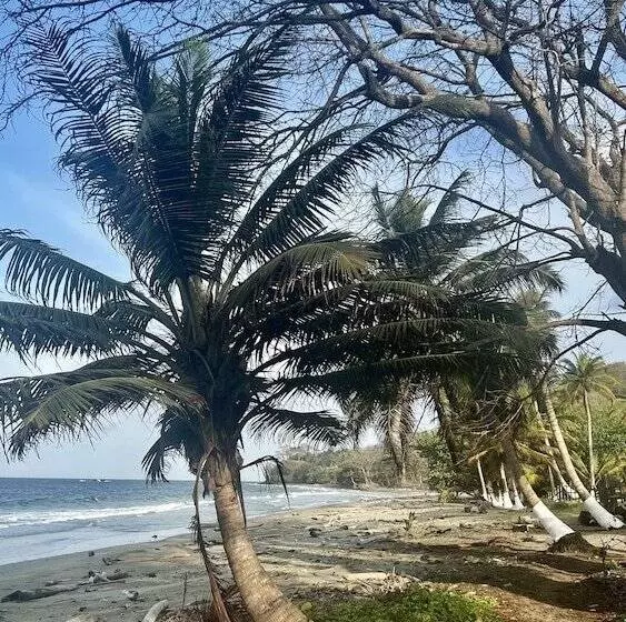 ホテル Las Rocas Village Eco