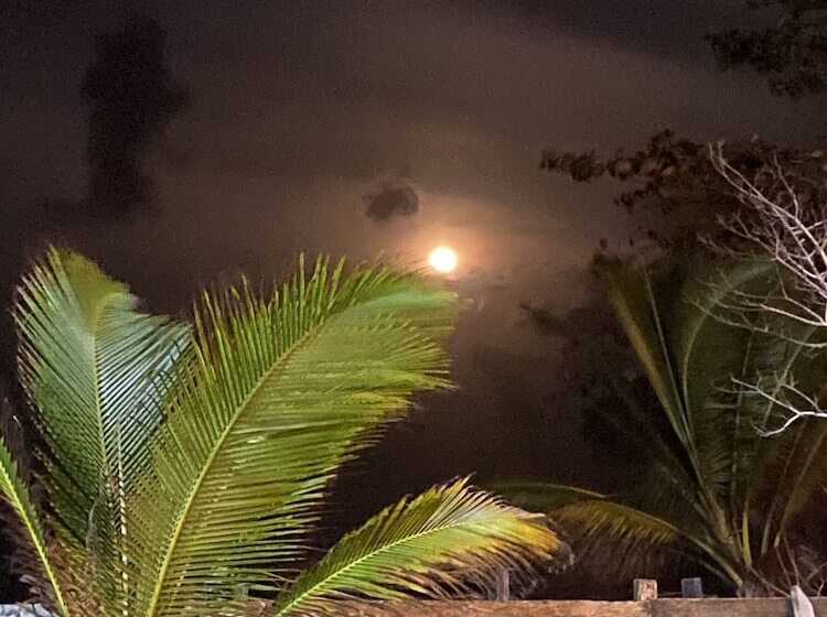 Hotel Las Rocas Village Eco