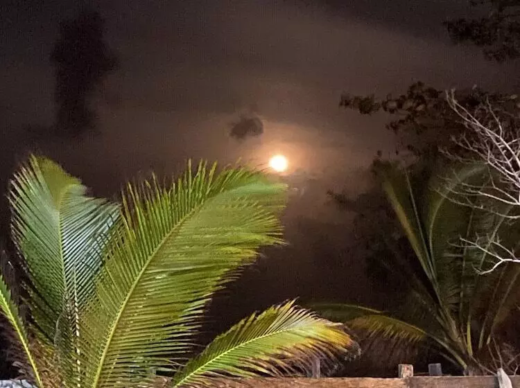 ホテル Las Rocas Village Eco