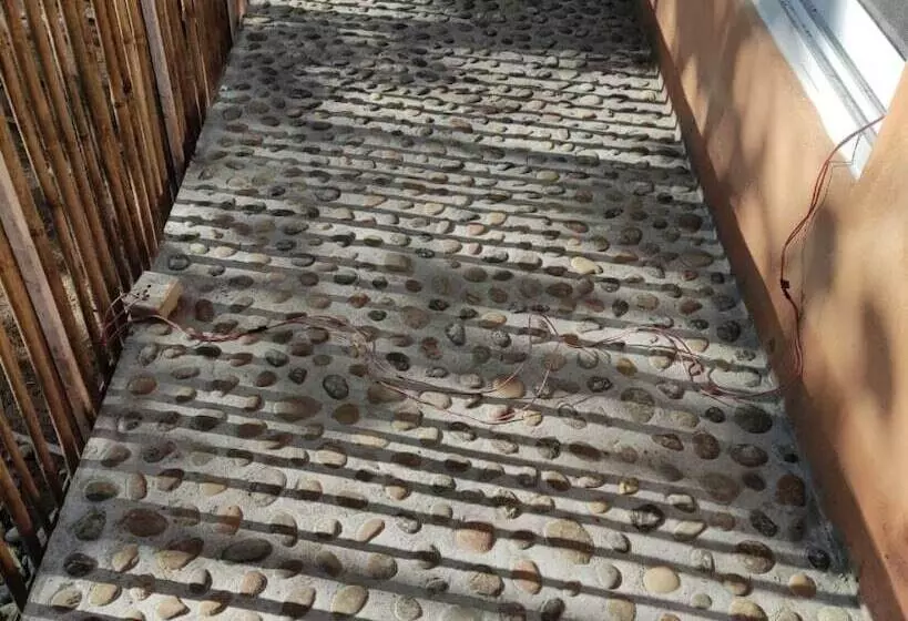 Nepal Himalayan Paulownia Resort