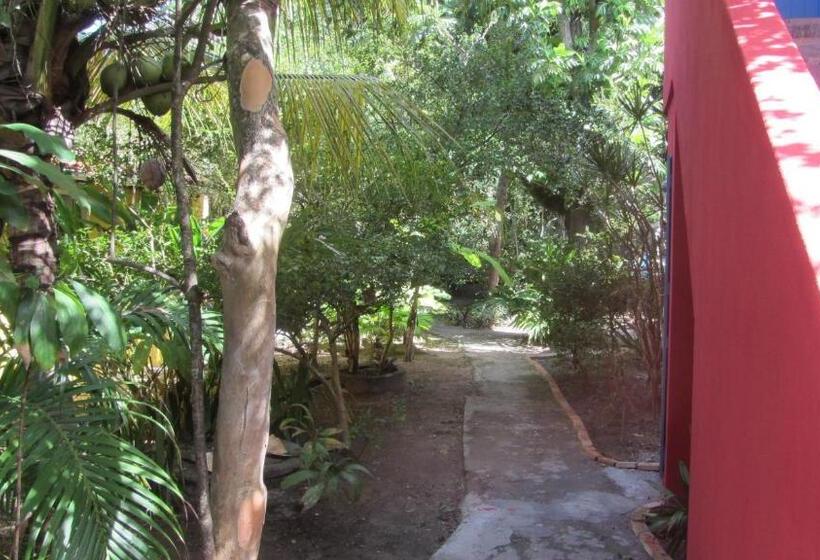 פנסיון A Casa Do Vizinho