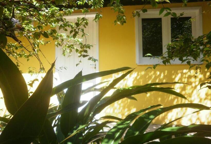 פנסיון A Casa Do Vizinho