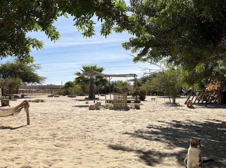 ペンション Dar Tawarta