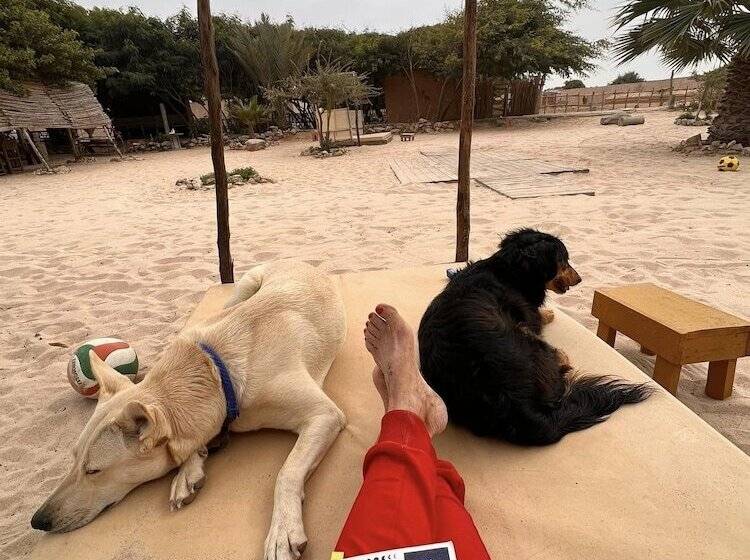 ペンション Dar Tawarta