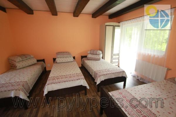 بنسيون гiрська роса