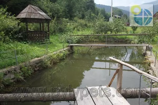 Majatalo гiрська роса