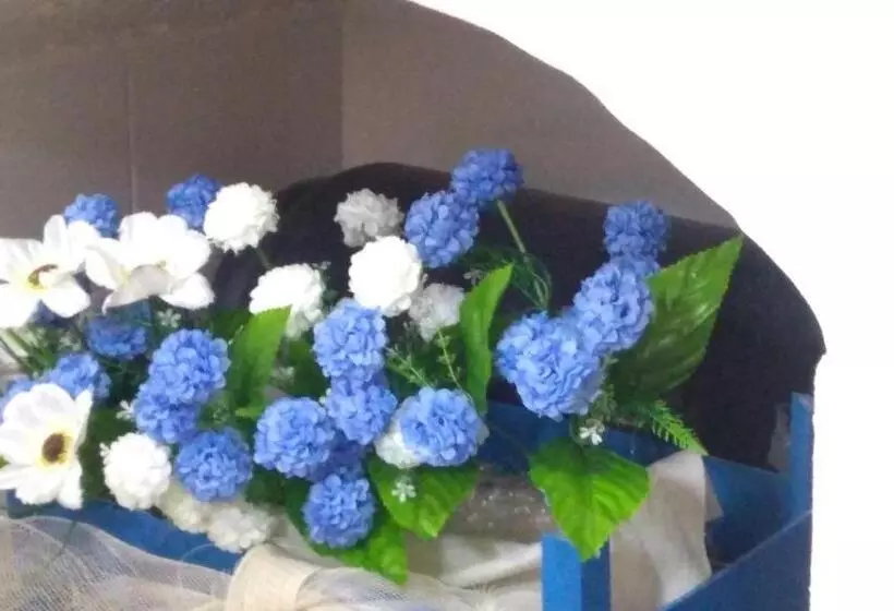 Majatalo The Twins Rooms In Marettimo 1