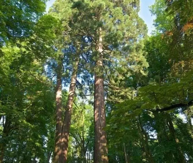 Aamiaismajoitus (B&B) Separé V Zahradě