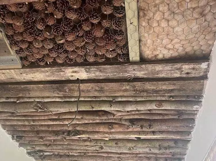 Hotelli Bridie Rose   Hot Tub Extra Charge Exotic Animals