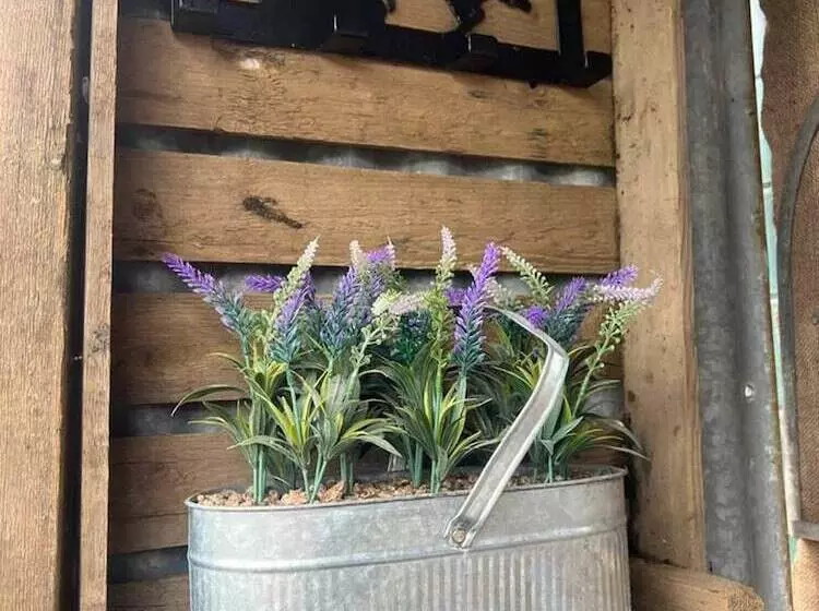 Hotelli Bridie Rose   Hot Tub Extra Charge Exotic Animals