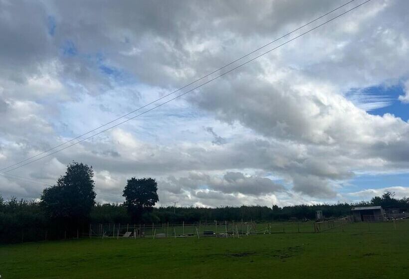 호텔 Bridie Rose   Hot Tub Extra Charge Exotic Animals