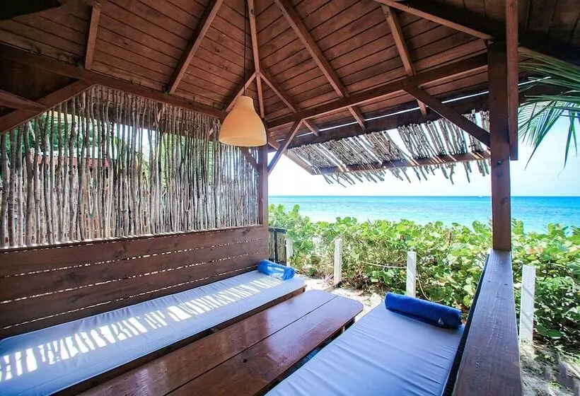 هتل Conch Beach Cabins   Rumbus Beach