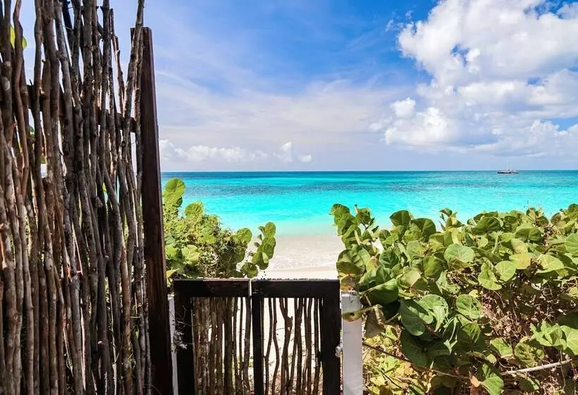 هتل Conch Beach Cabins   Rumbus Beach