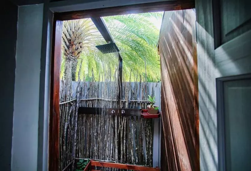 هتل Conch Beach Cabins   Rumbus Beach