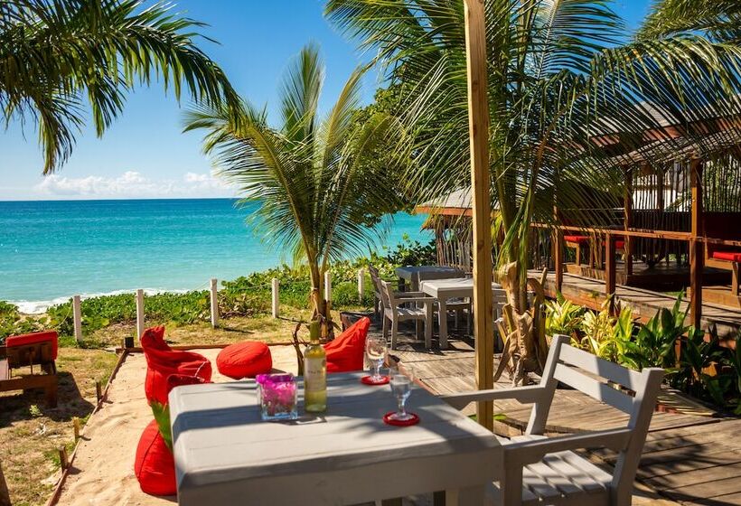 هتل Conch Beach Cabins Rumbus Beach