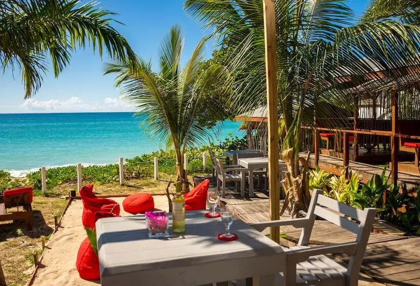 هتل Conch Beach Cabins   Rumbus Beach