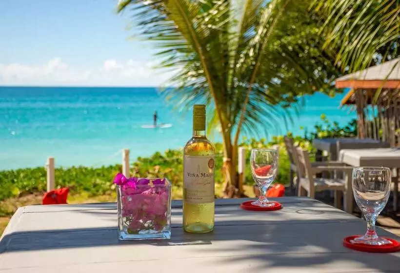 هتل Conch Beach Cabins   Rumbus Beach