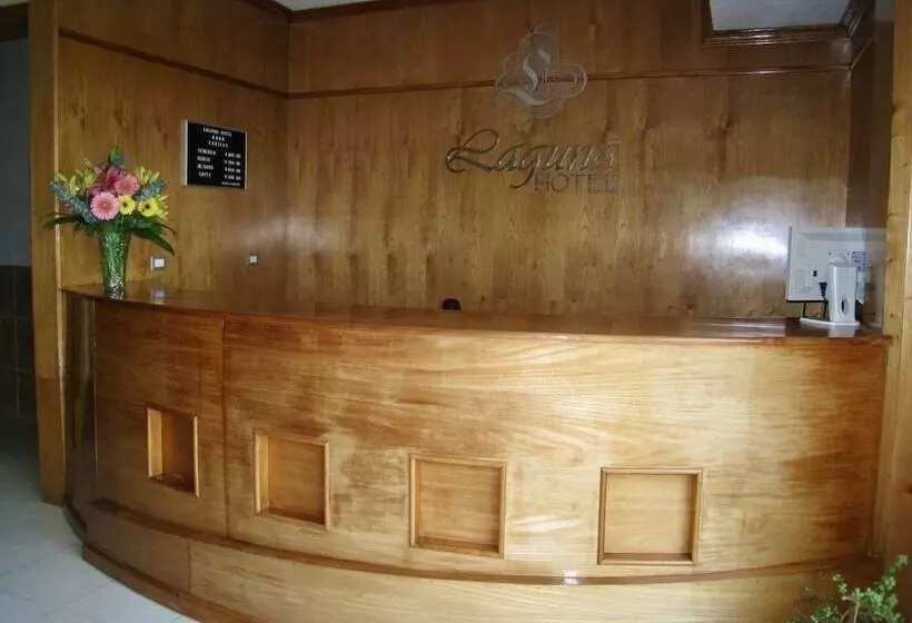 ホテル Laguna Tampico
