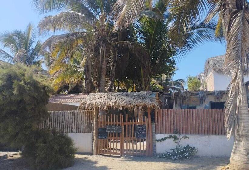 Отель Los Almendros Mancora