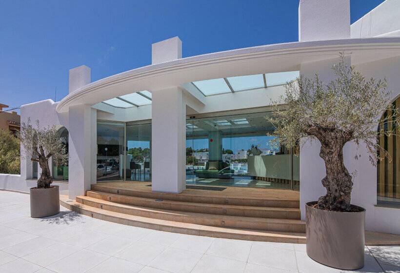 Hotel Marsenses Natura Olea