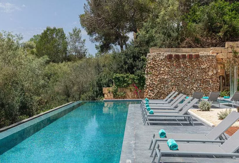 Hotelli Marsenses Natura Olea