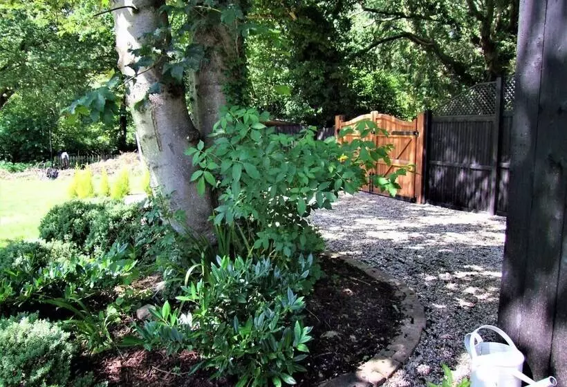 ホテル Romantic Lodge On Edge Of Nature Reserve