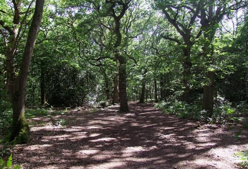 Отель Romantic Lodge On Edge Of Nature Reserve