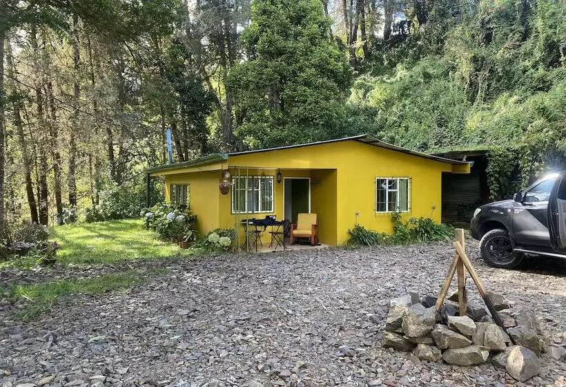 ペンション River Nest Lodge Costa Rica