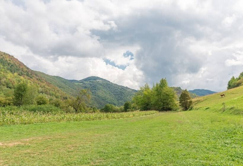 Pensiunea Popasul Ursilor