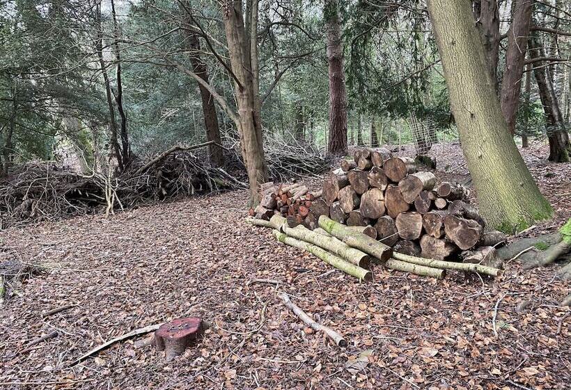 Private And Secluded Cabin In Rowfant