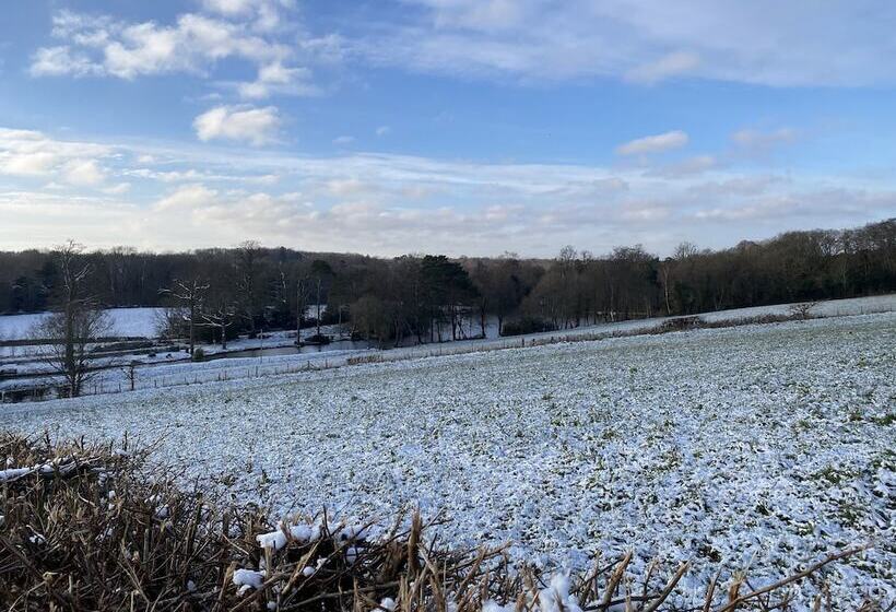 Private And Secluded Cabin In Rowfant